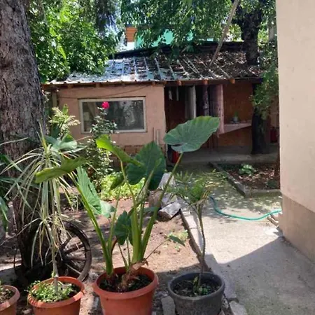 Апартаменты Guest House